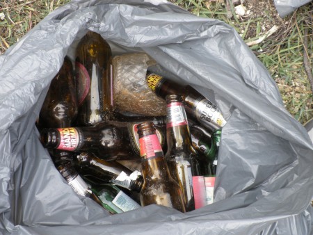 Projeto Rios - Limpeza das Margens do Rio Dão 2010 - 7º D