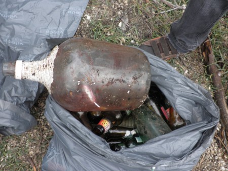 Projeto Rios - Limpeza das Margens do Rio Dão 2010 - 7º D