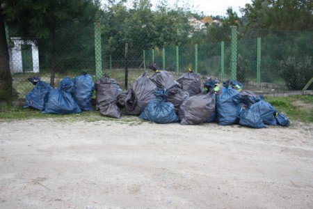 Projeto Rios - Limpeza das Margens do Rio Dão 2012 - 8º D