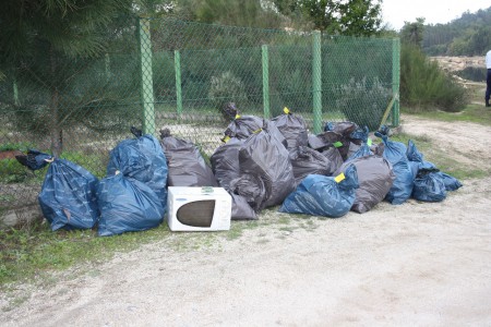 Projeto Rios - Limpeza das Margens do Rio Dão 2012 - 8º D