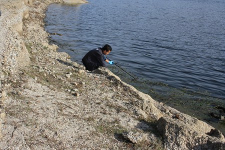 Projeto Rios - Limpeza das Margens do Rio Dão 2010 - 9º C