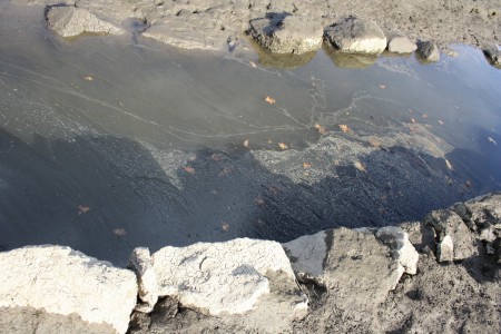 Projeto Rios - Limpeza das Margens do Rio Dão 2010 - 9º C