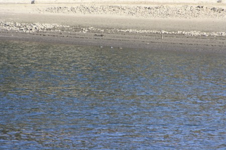 Projeto Rios - Limpeza das Margens do Rio Dão 2010 - 9º C