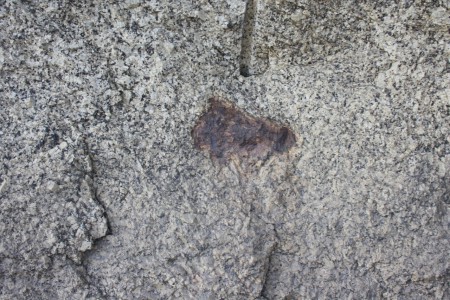 Projeto Rios - Limpeza das Margens do Rio Dão 2010 - 9º C